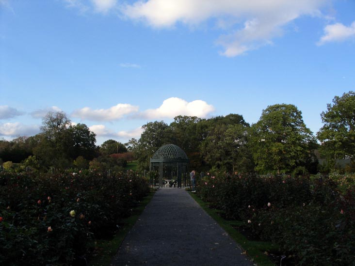 Rockefeller Rose Garden, New York Botanical Garden, Bronx Park, The Bronx, October 28, 2006