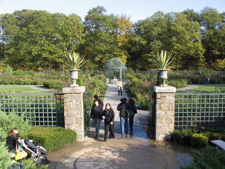 Rockefeller Rose Garden, New York Botanical Garden, Bronx Park, The Bronx, October 28, 2006