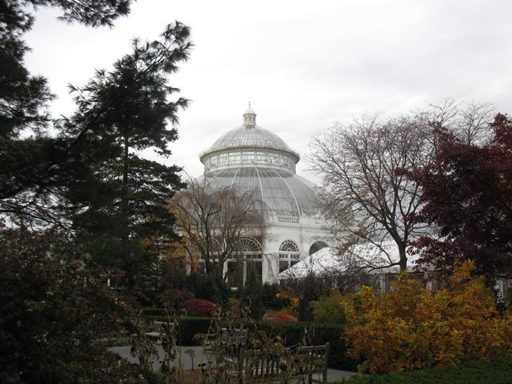 Haupt Conservatory, New York Botanical Garden, Bronx Park, The Bronx, November 15, 2011