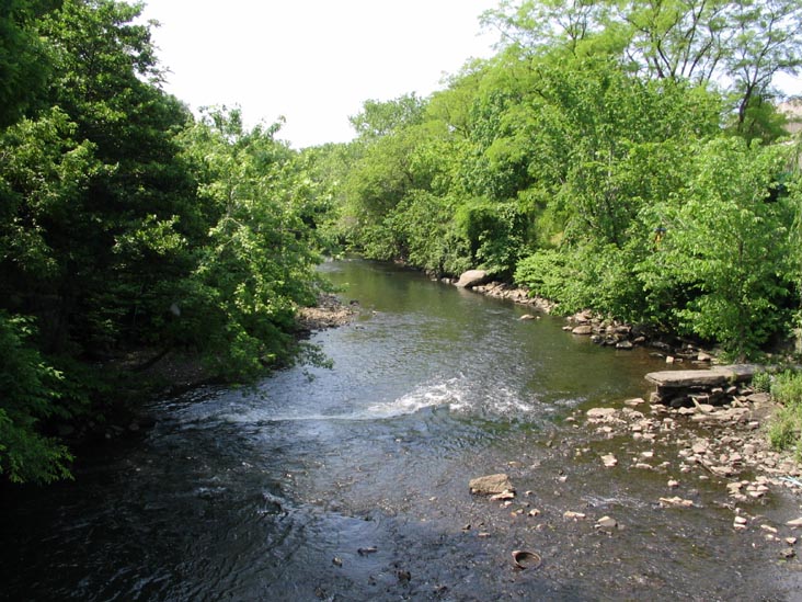 Bronx River at East Tremont Avenue, West Farms, The Bronx