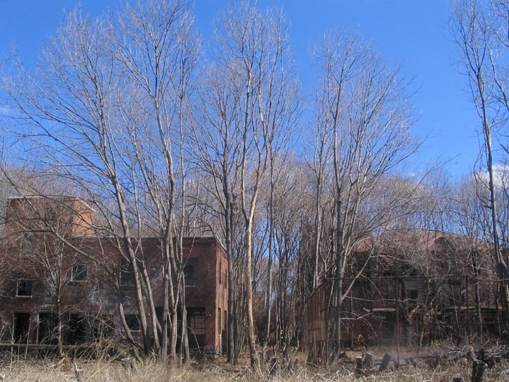 North Brother Island, East River, The Bronx