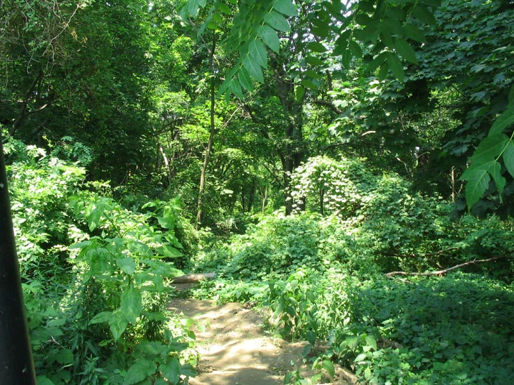 Pathway To Huntington Estate Animal Cemetery Near Library and Watt Avenues, Pelham Bay Park, The Bronx