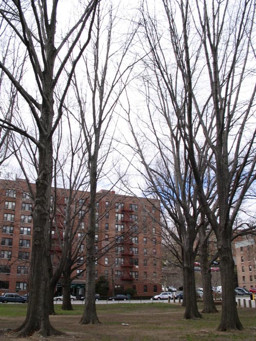 Memorial Grove, Van Cortlandt Park, The Bronx