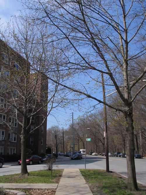 East 238th Street and Van Cortlandt Park East, Oneida Triangle, Woodlawn, The Bronx