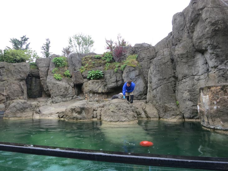 Sea Cliffs, New York Aquarium, Coney Island, Brooklyn, May 28, 2013