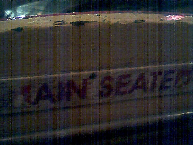 Remain Seated, The Cyclone, Coney Island, Brooklyn, July 9, 2004