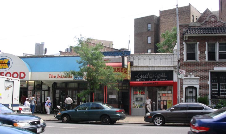 Ludwig's Pharmacy, Washington Avenue North of Eastern Parkway, Prospect Heights, Brooklyn