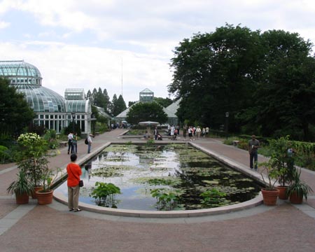 Lily Pool, Brooklyn Botanic Garden