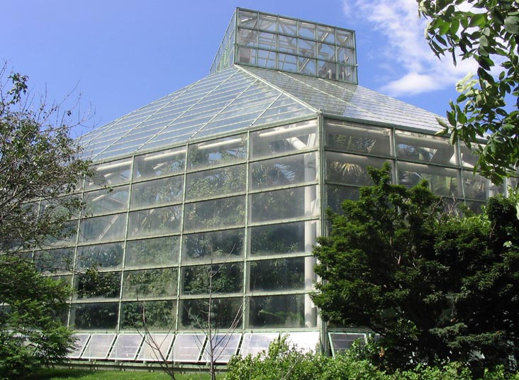 Tropical Pavilion, Steinhardt Conservatory, Brooklyn Botanic Garden