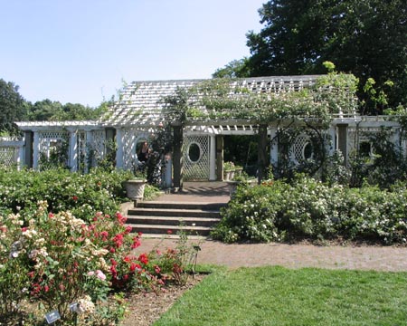 Cranford Rose Garden, Brooklyn Botanic Garden
