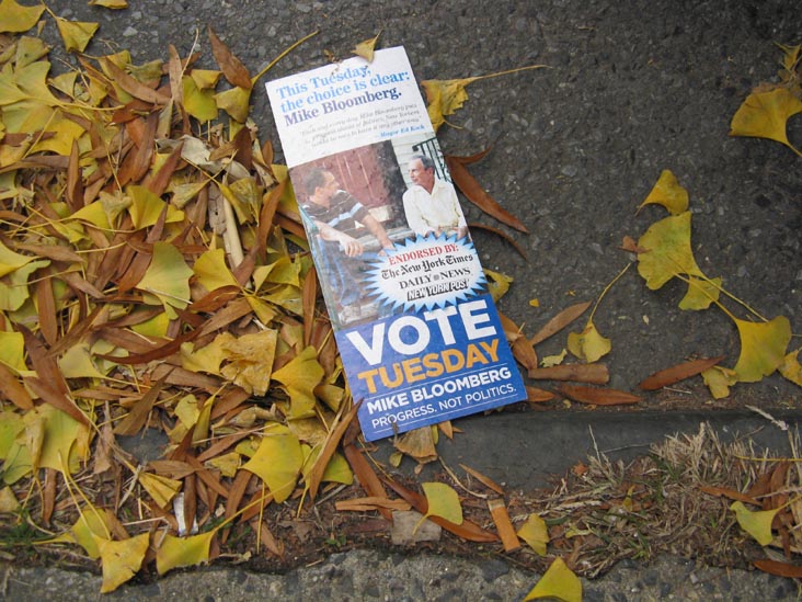 Bloomberg For Mayor 2009 This Tuesday The Choice Is Clear Campaign Literature, 49th Avenue Between Vernon Boulevard and 5th Street, Hunters Point, Long Island City, Queens, November 4, 2009, 3:08 p.m.