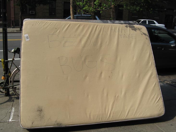 "Bed Bugs: Don't Take," Greenpoint Avenue, Greenpoint, Brooklyn, June 7, 2009