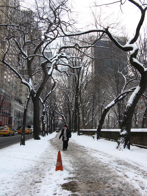 Fifth Avenue Near 63rd Street, Upper East Side, Manhattan, January 20, 2009