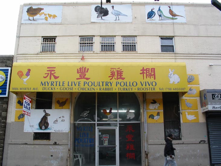 Myrtle Live Poultry, 1086 Myrtle Avenue, Bushwick, Brooklyn