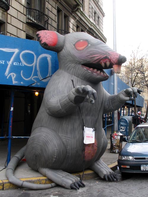 Union Rat, 157th Street, Upper Manhattan, December 9, 2004