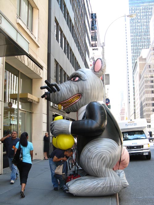 Union Rat In Front Of 645 Madison Avenue, Upper East Side, Manhattan, July 16, 2008
