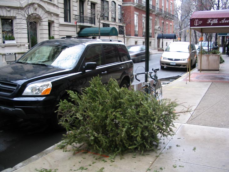 Discarded Christmas Tree, East 62nd Street between Fifth Avenue and Madison Avenue, Upper East Side, Manhattan
