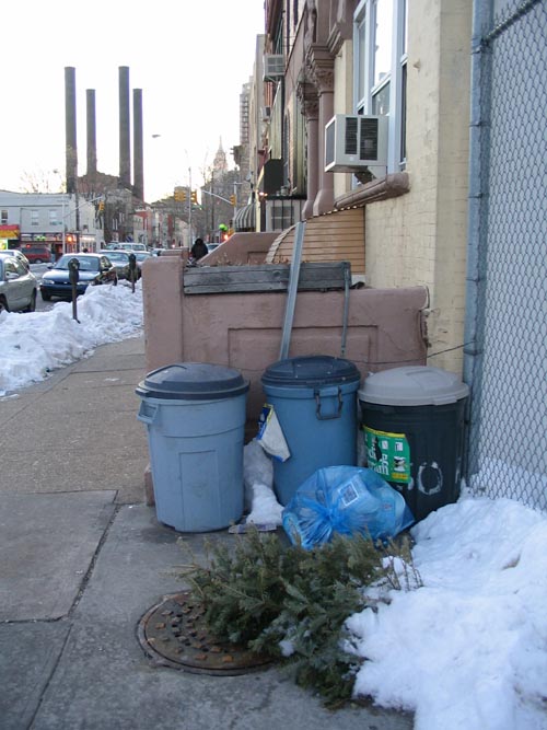 Discarded Christmas Tree, 50th Avenue, Long Island City, Queens
