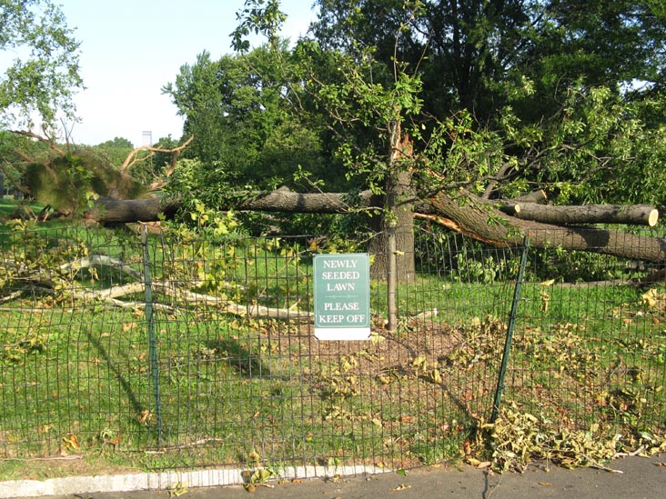 August 18, 2009 Storm Aftermath, East Drive Near 102nd Street, Central Park, Manhattan, August 21, 2009