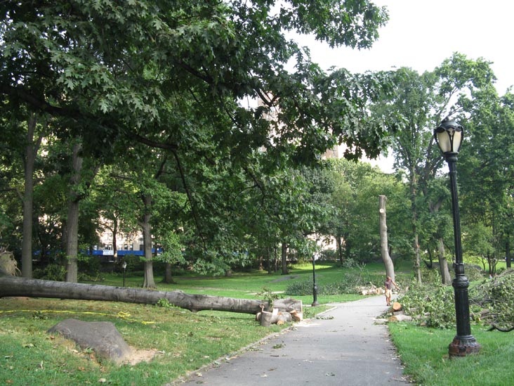 August 18, 2009 Storm Aftermath Near 93rd Street and Central Park West, Central Park, Manhattan, August 21, 2009