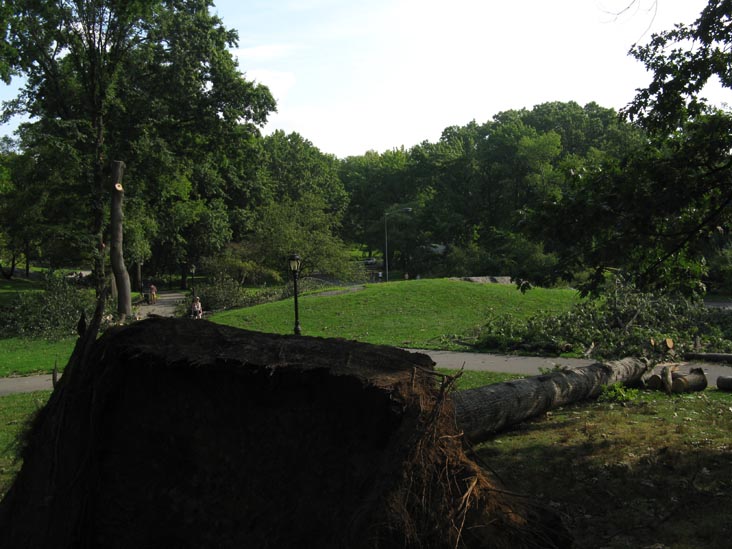 August 18, 2009 Storm Aftermath Near 93rd Street and Central Park West, Central Park, Manhattan, August 21, 2009