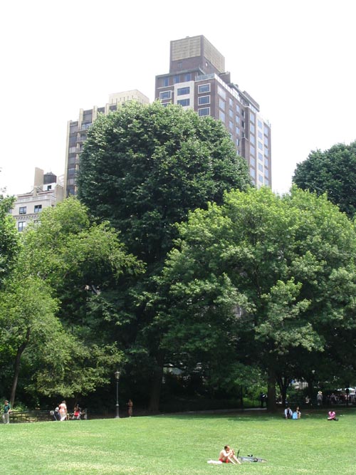 Cedar Hill, Central Park, Manhattan