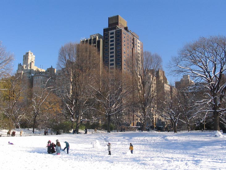 Cedar Hill, Central Park, Manhattan, December 9, 2005