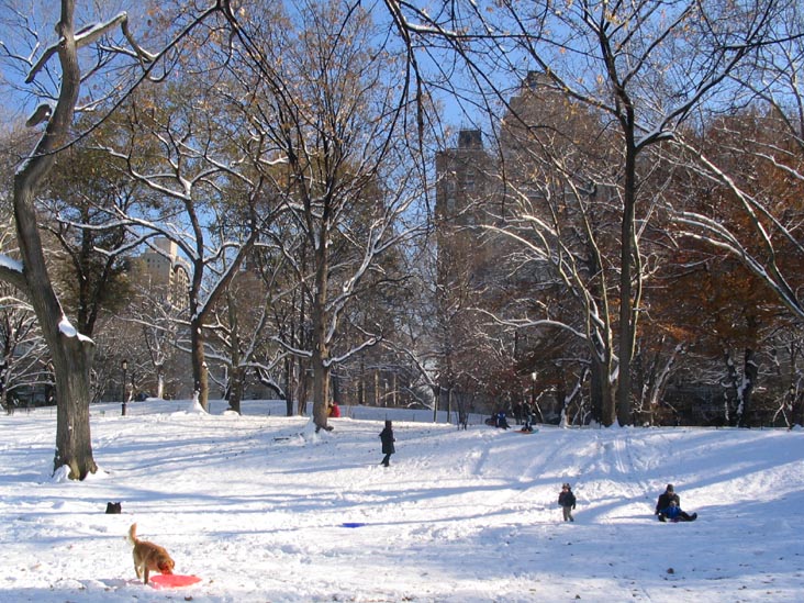 Cedar Hill, Central Park, Manhattan, December 9, 2005