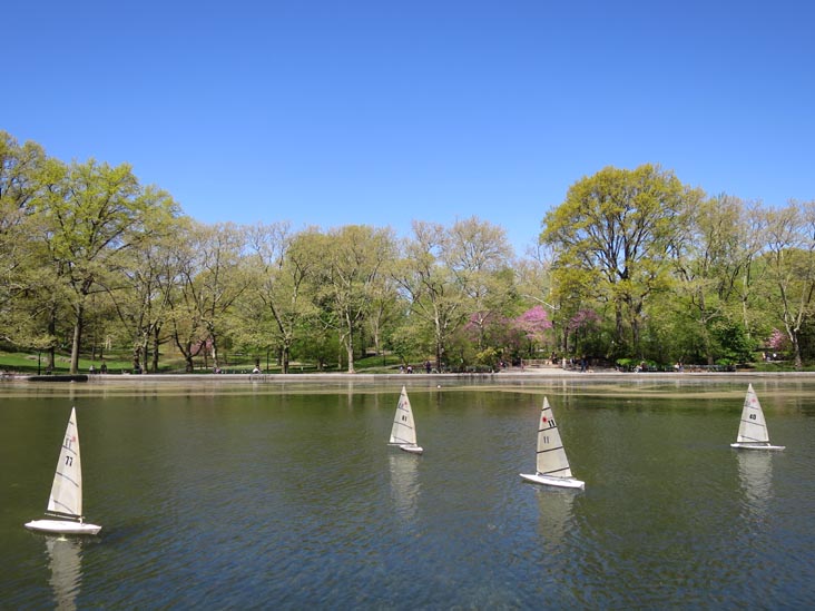 Conservatory Water, Central Park, Manhattan, May 5, 2014
