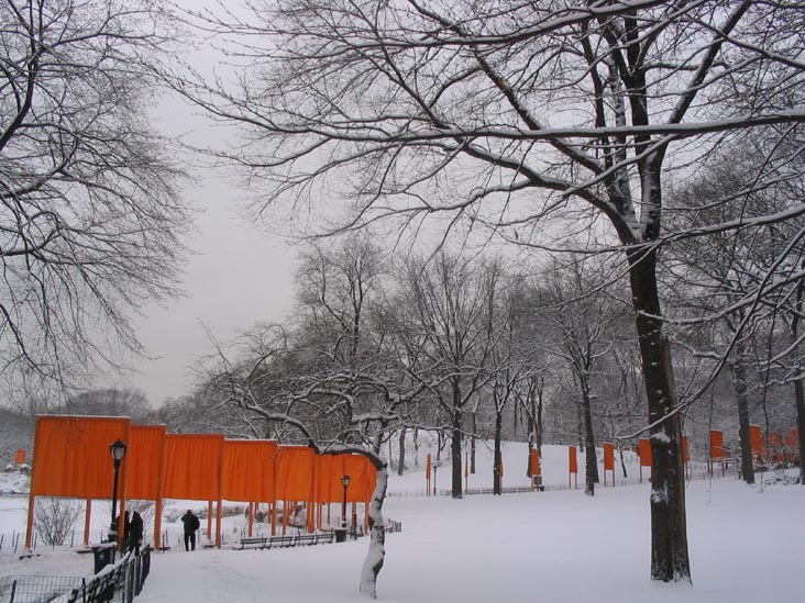 The Pond, Christo and Jeanne-Claude's Gates Project: March 1, 2005