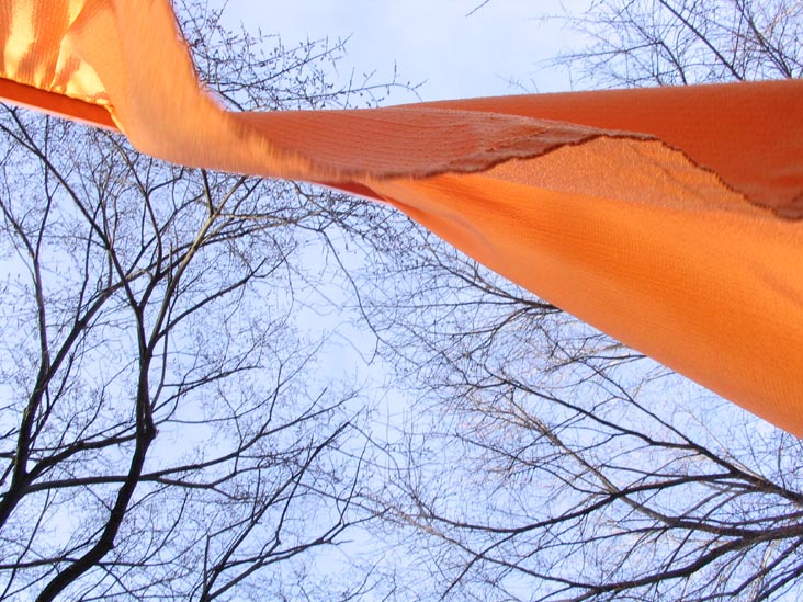 Christo and Jeanne-Claude's Gates Project: Final Day