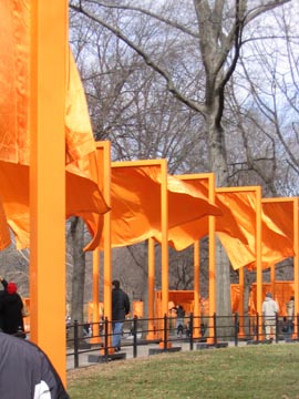 Near the Mall, Christo and Jeanne-Claude's Gates Project: Opening Day
