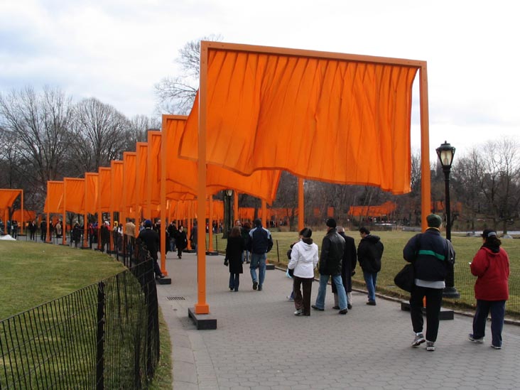 The Great Lawn, Christo and Jeanne-Claude's Gates Project: Opening Day