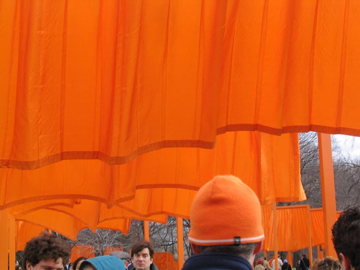 Christo and Jeanne-Claude's Gates Project: Opening Day