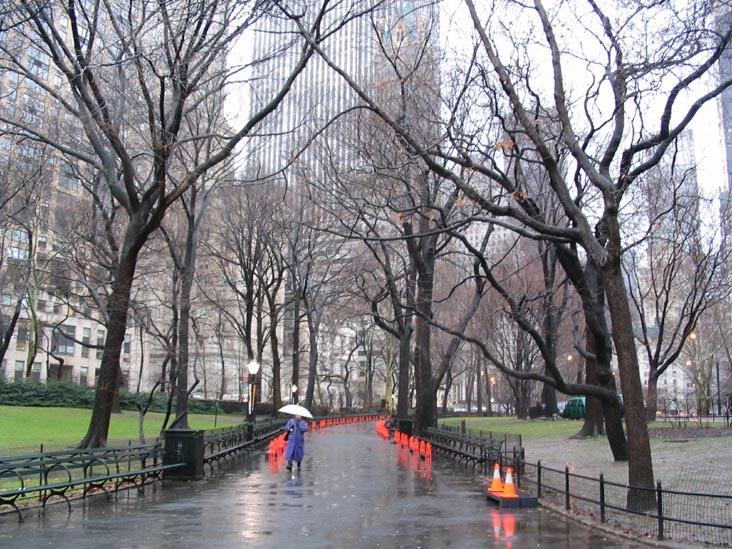 Preparations for Christo and Jeanne-Claude's The Gates Project, Wien Walk, Central Park, January 14, 2005