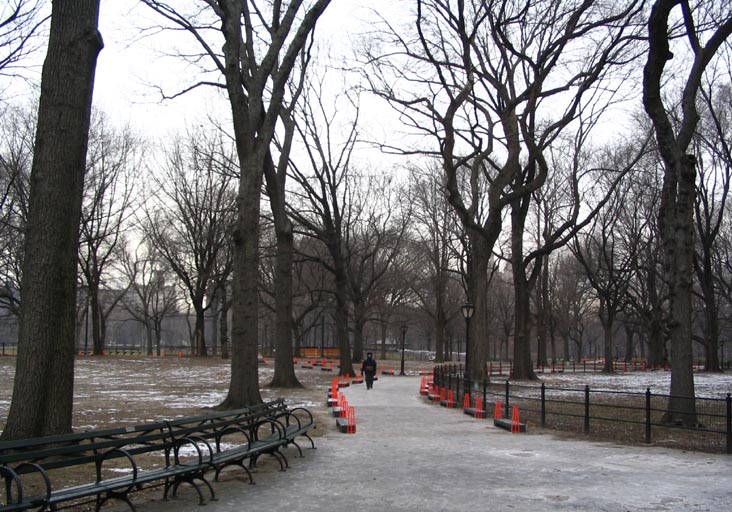 Preparations for Christo and Jeanne-Claude's The Gates Project, Near The Mall, Central Park, January 19, 2005