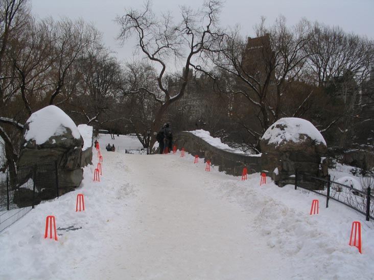 Preparations for Christo and Jeanne Claude's The Gates Project, Pond, Central Park, January 24, 2005