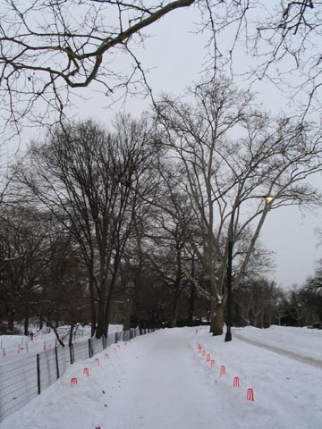 Preparations for Christo and Jeanne Claude's The Gates Project, Park Drive, Central Park, January 24, 2005
