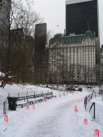 Preparations for Christo and Jeanne Claude's The Gates Project, Pond, Central Park, January 24, 2005
