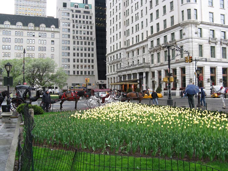 Grand Army Plaza, Manhattan, April 22, 2009