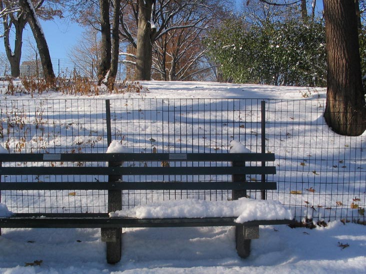 Bench Near The Lake, Central Park, Manhattan, December 9, 2005