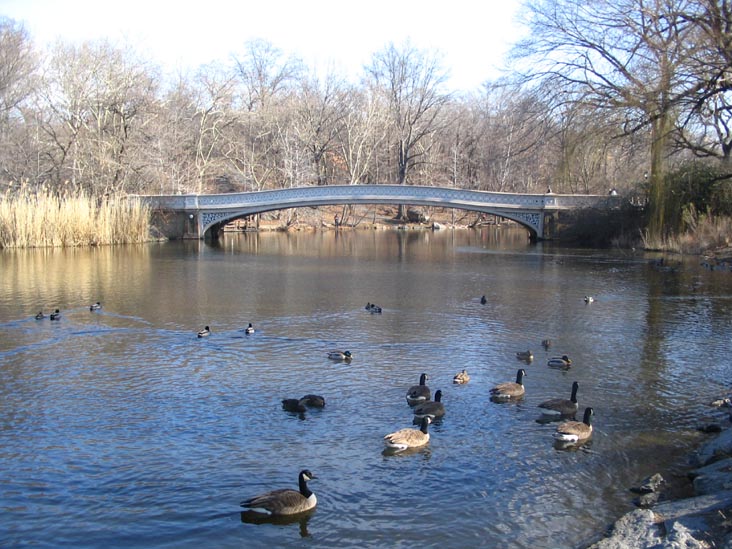 Bow Bridge, The Lake, Central Park, January 28, 2006