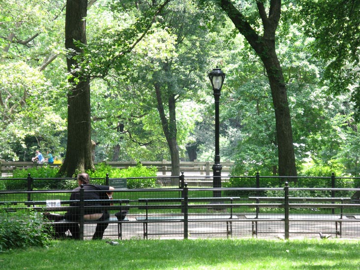 The Mall, Central Park, Manhattan, July 7, 2009