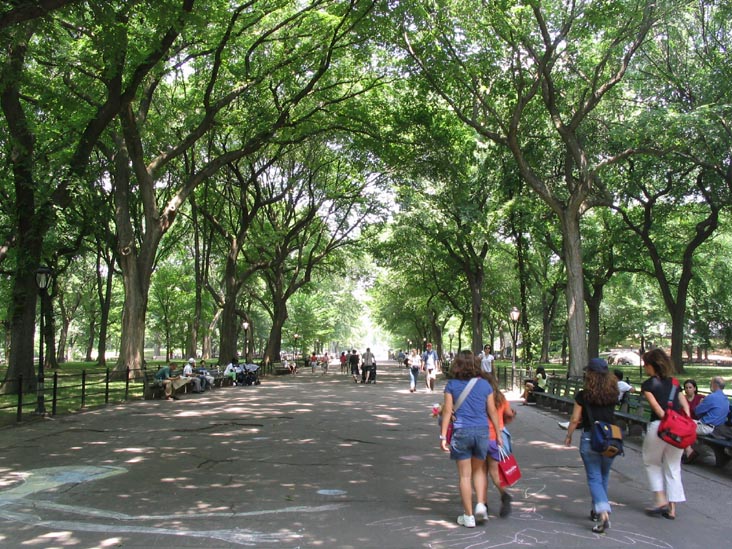 The Mall, Central Park, Manhattan, July 8, 2004