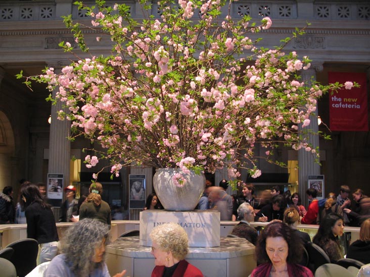 Information Desk, The Great Hall, Metropolitan Museum of Art, 1000 Fifth Avenue at 82nd Street, Manhattan