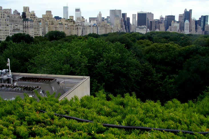 Roof Garden, Metropolitan Museum of Art, 1000 Fifth Avenue at 82nd Street, Manhattan