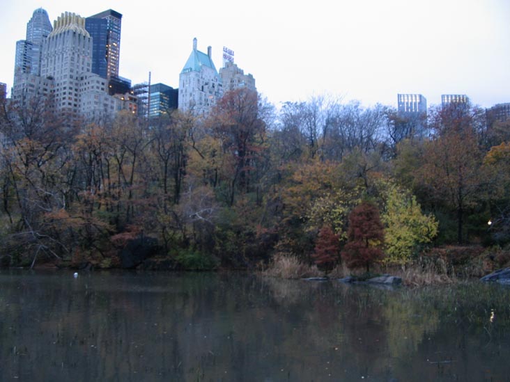 The Pond, Central Park, Manhattan, November 22, 2005