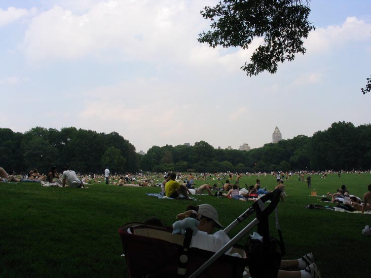 Sheep Meadow, Central Park, Manhattan, May 23, 2004