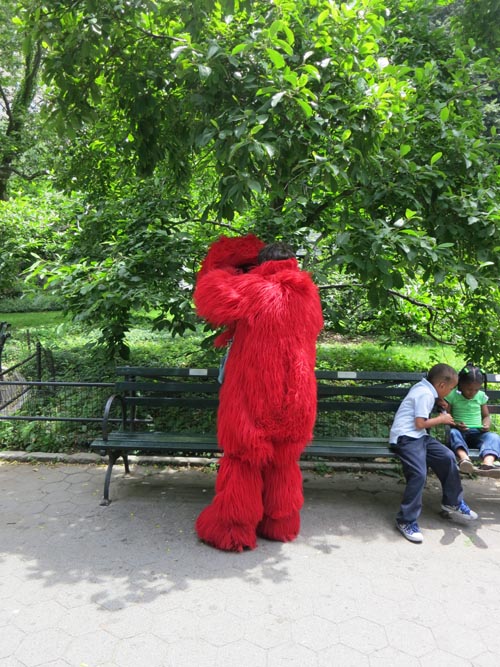 Wien Walk, Central Park, Manhattan, June 18, 2012