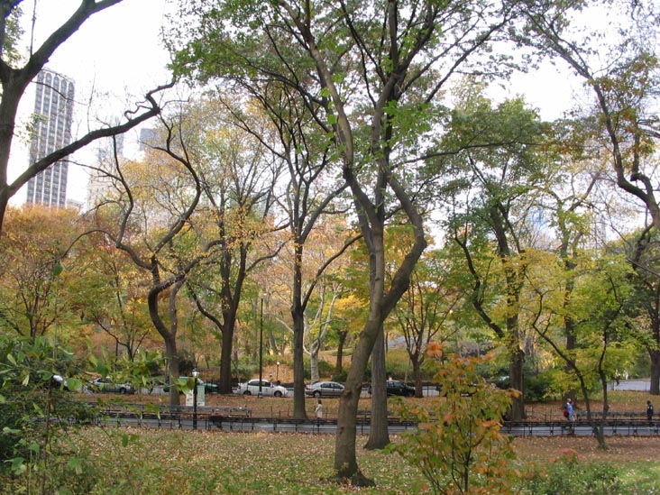 Wien Walk, Central Park, Manhattan, November 16, 2005